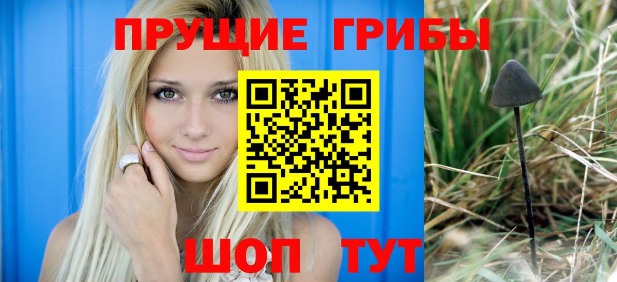 Галлюциногенные грибы MAGIC MUSHROOMS  Псилоцибиновые грибы прущие грибы  Вход с VPN  Нарткала 